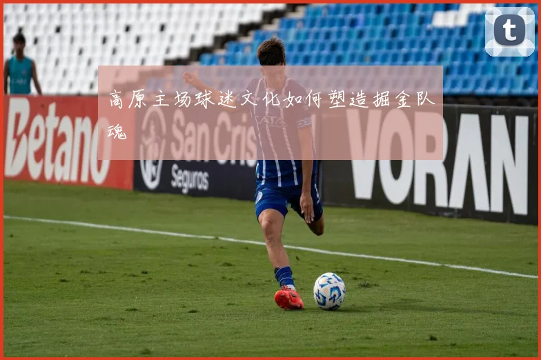 高原主场球迷文化如何塑造掘金队魂