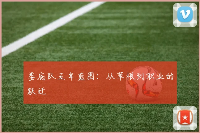 娄底队五年蓝图：从草根到职业的跃迁