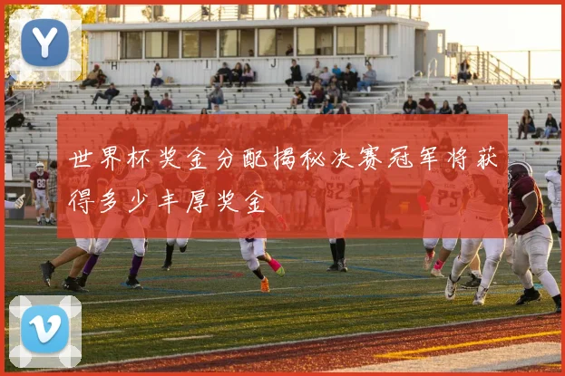 世界杯奖金分配揭秘决赛冠军将获得多少丰厚奖金